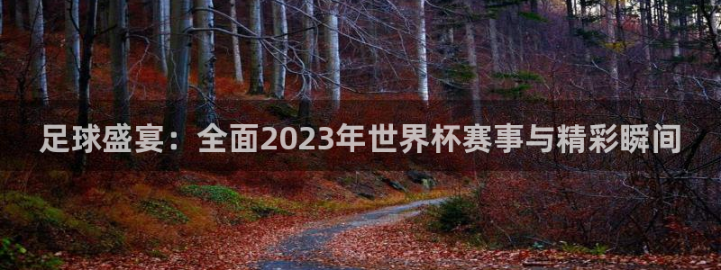 世界杯比赛解说
