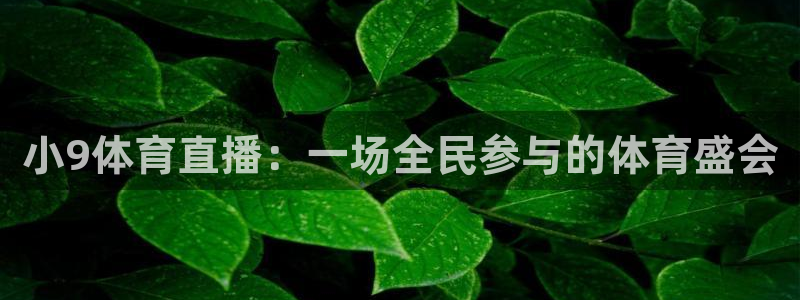 2023乒乓球世界杯冠军