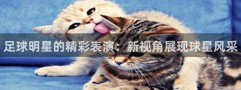 世界杯预选赛南美赛区赛程