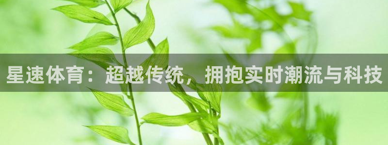 我要看鲨鱼直播