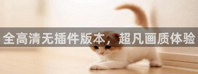 世界杯直播链接