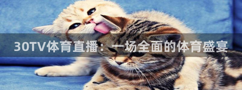 2018世界杯全部赛程