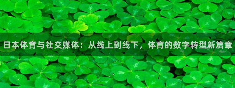 世界杯足球胜平负