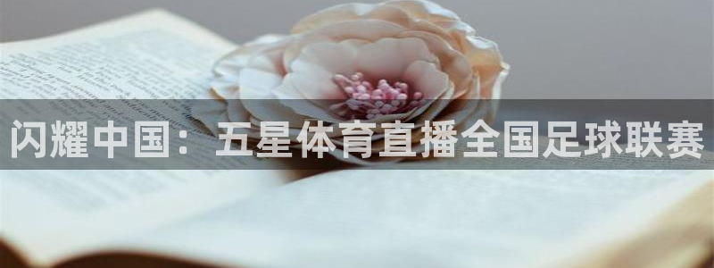 世界杯决赛比赛