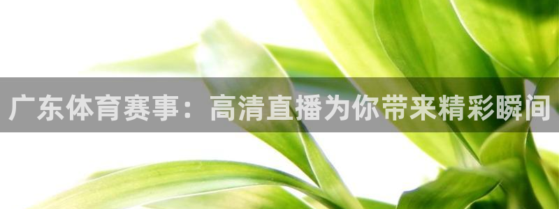 美国u19男篮世界杯名单